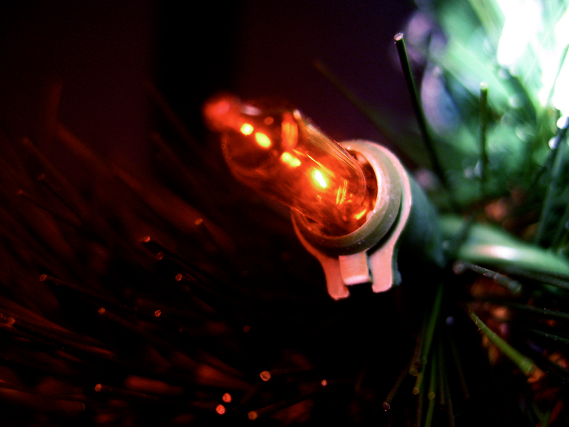 Illustration for article titled Photo Contest: Christmas Lights